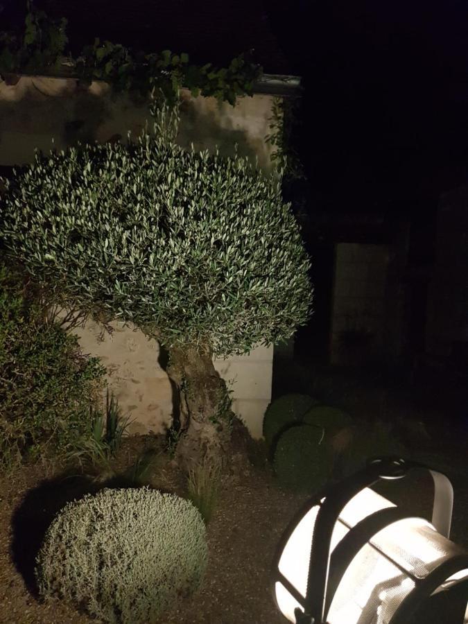 Le Clos Falaw Azay-sur-Cher Eksteriør billede